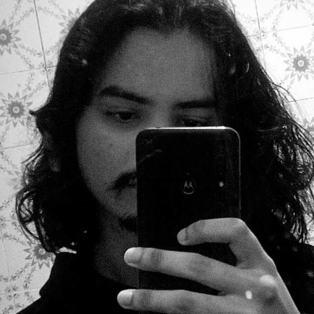 pseudo programador