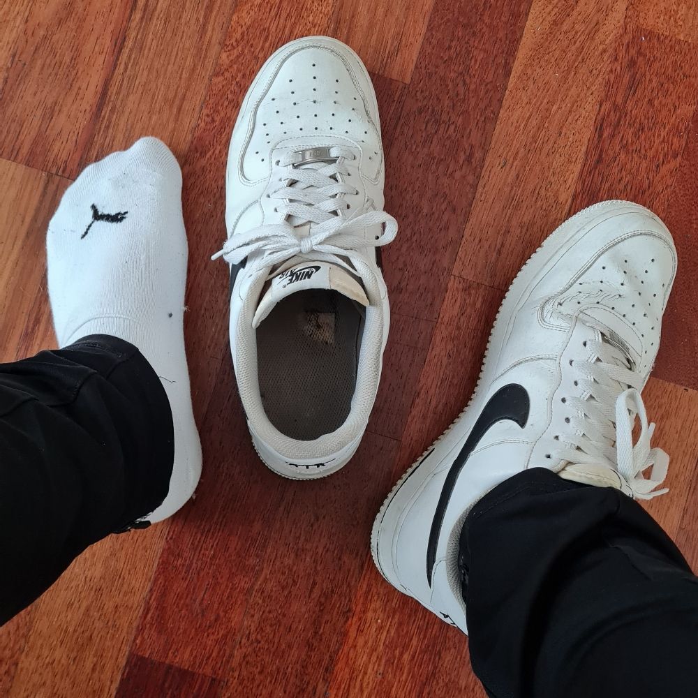 Socksfan