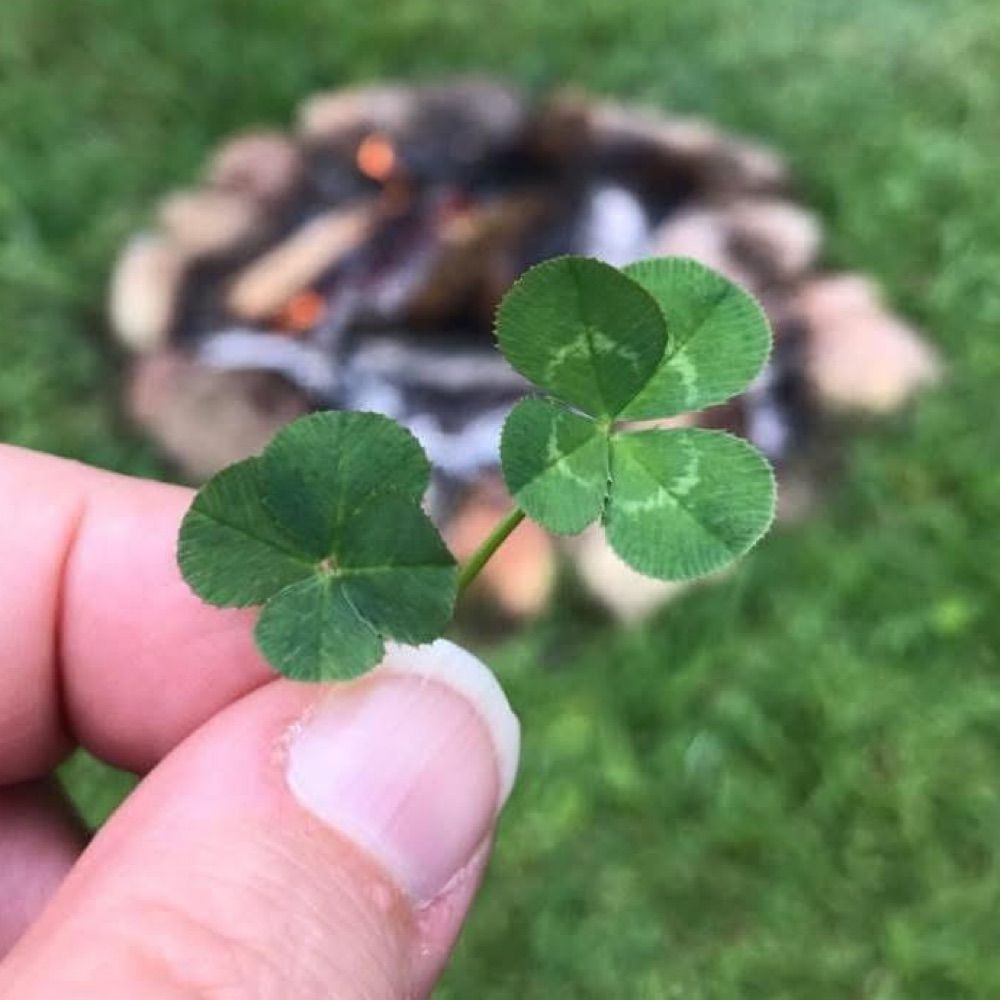 Sabrina☘️