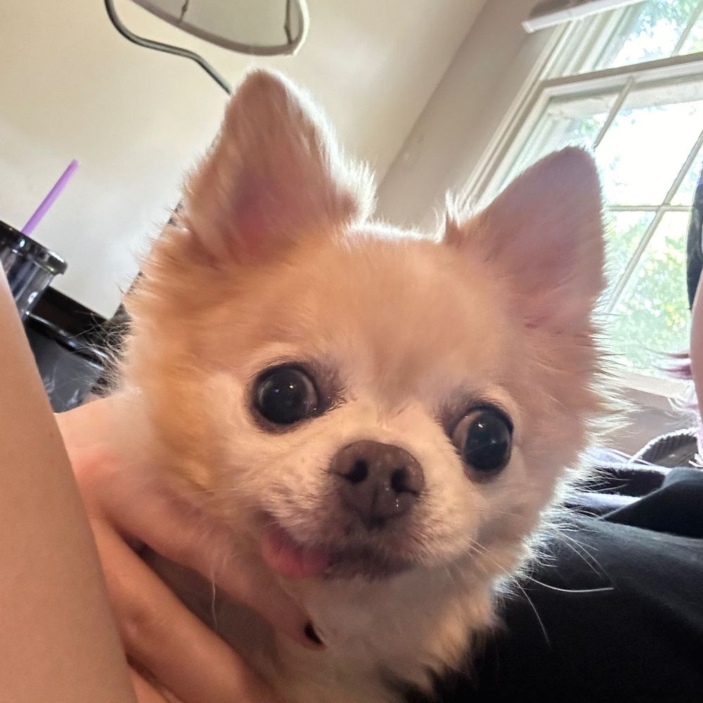Theonlychica1987