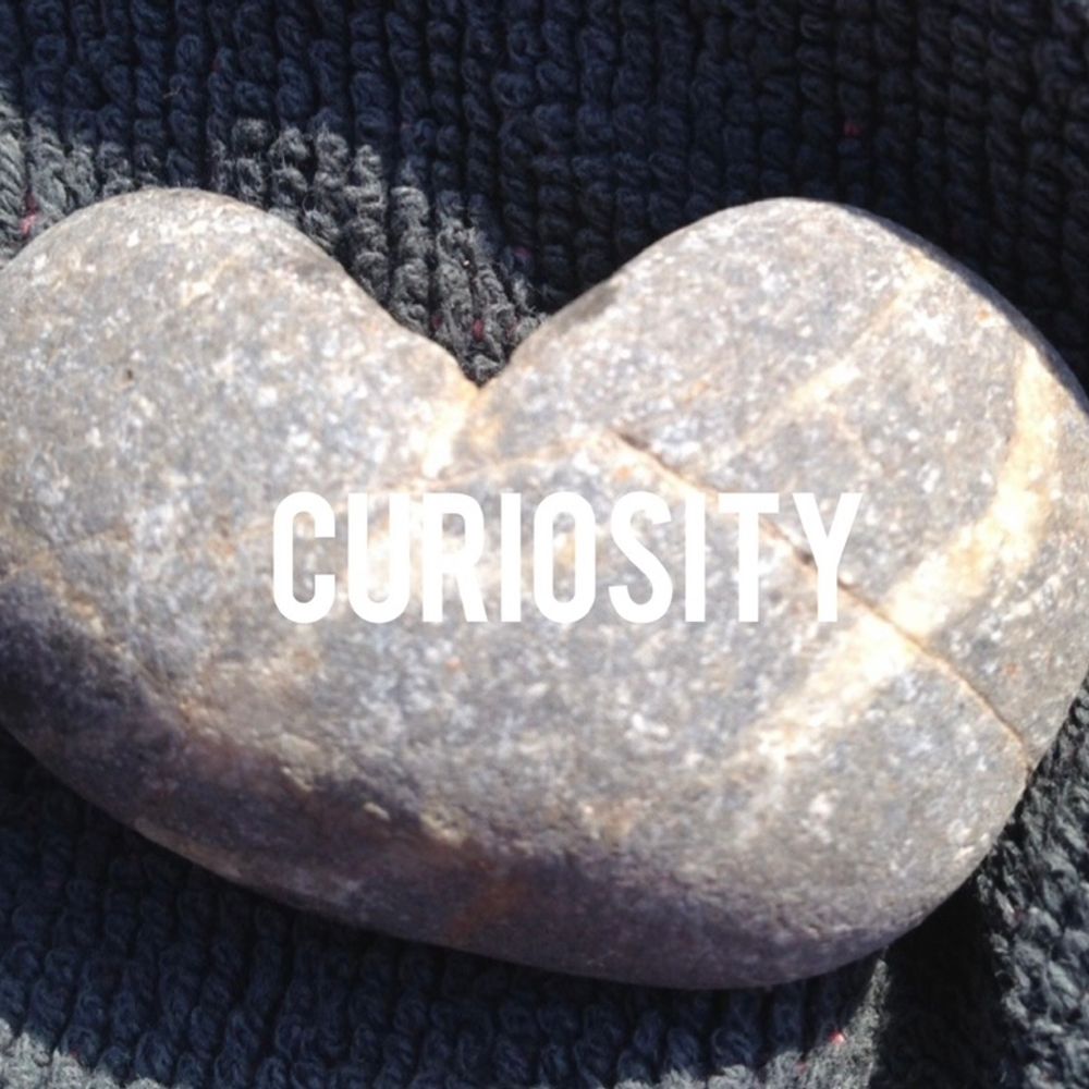Curiosity 