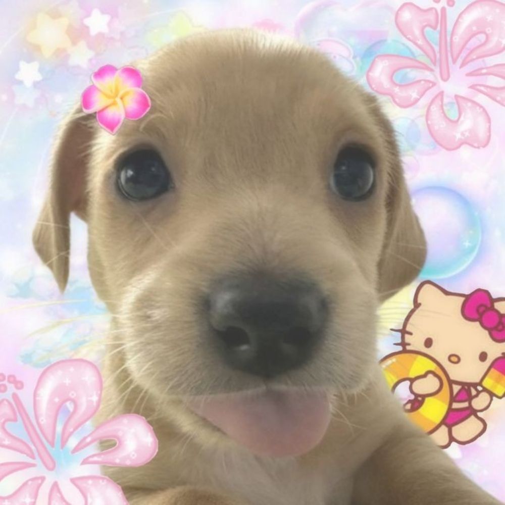 milly