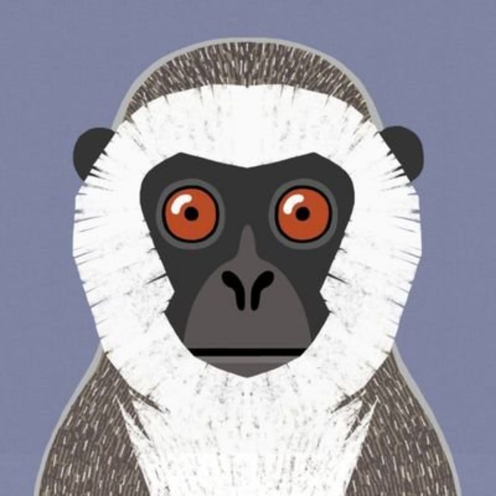 CheekyMonkey253