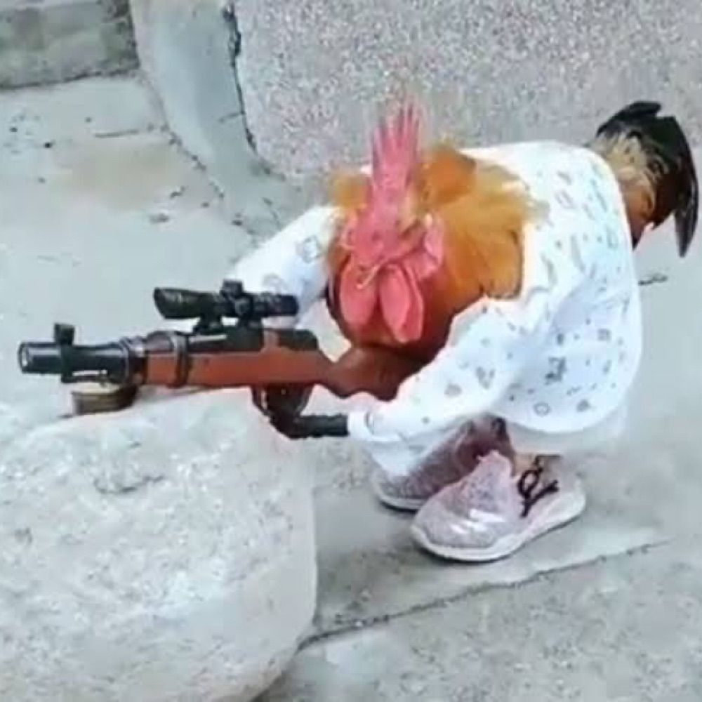Hadu ainda é a droga