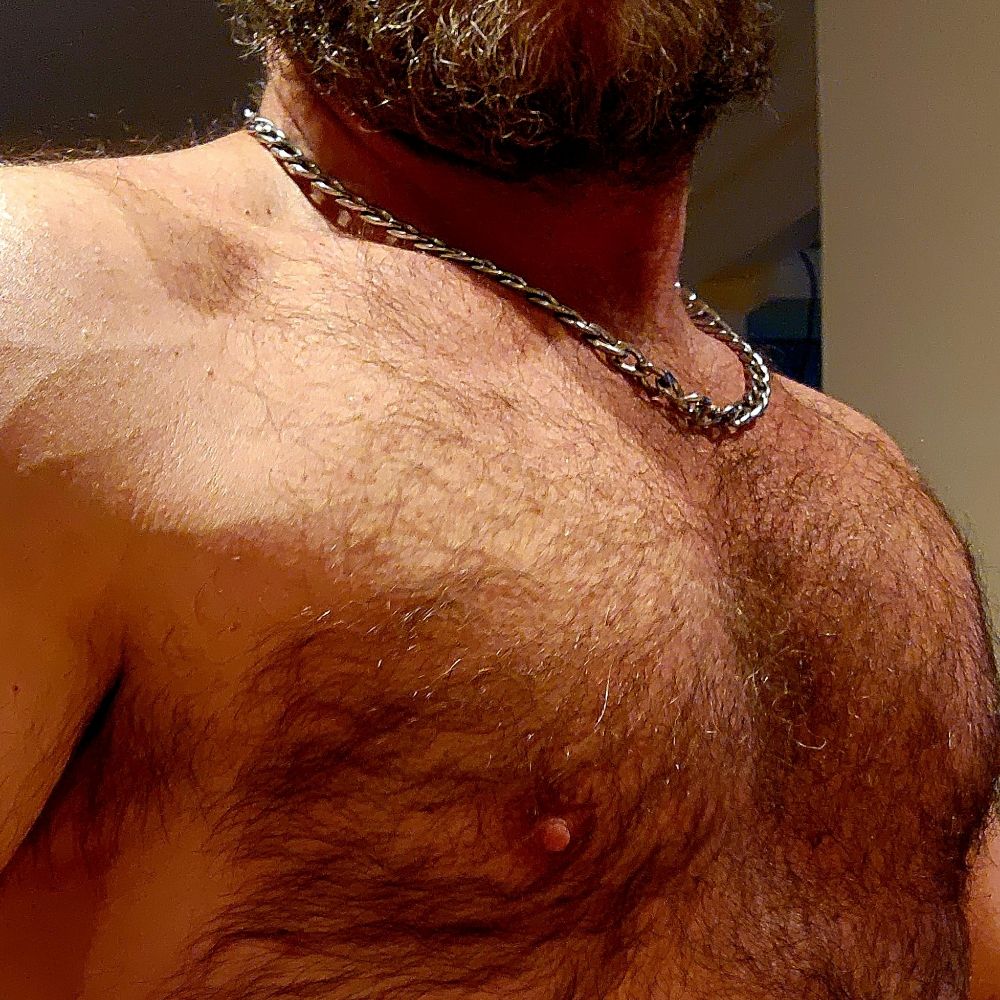 HairyBear