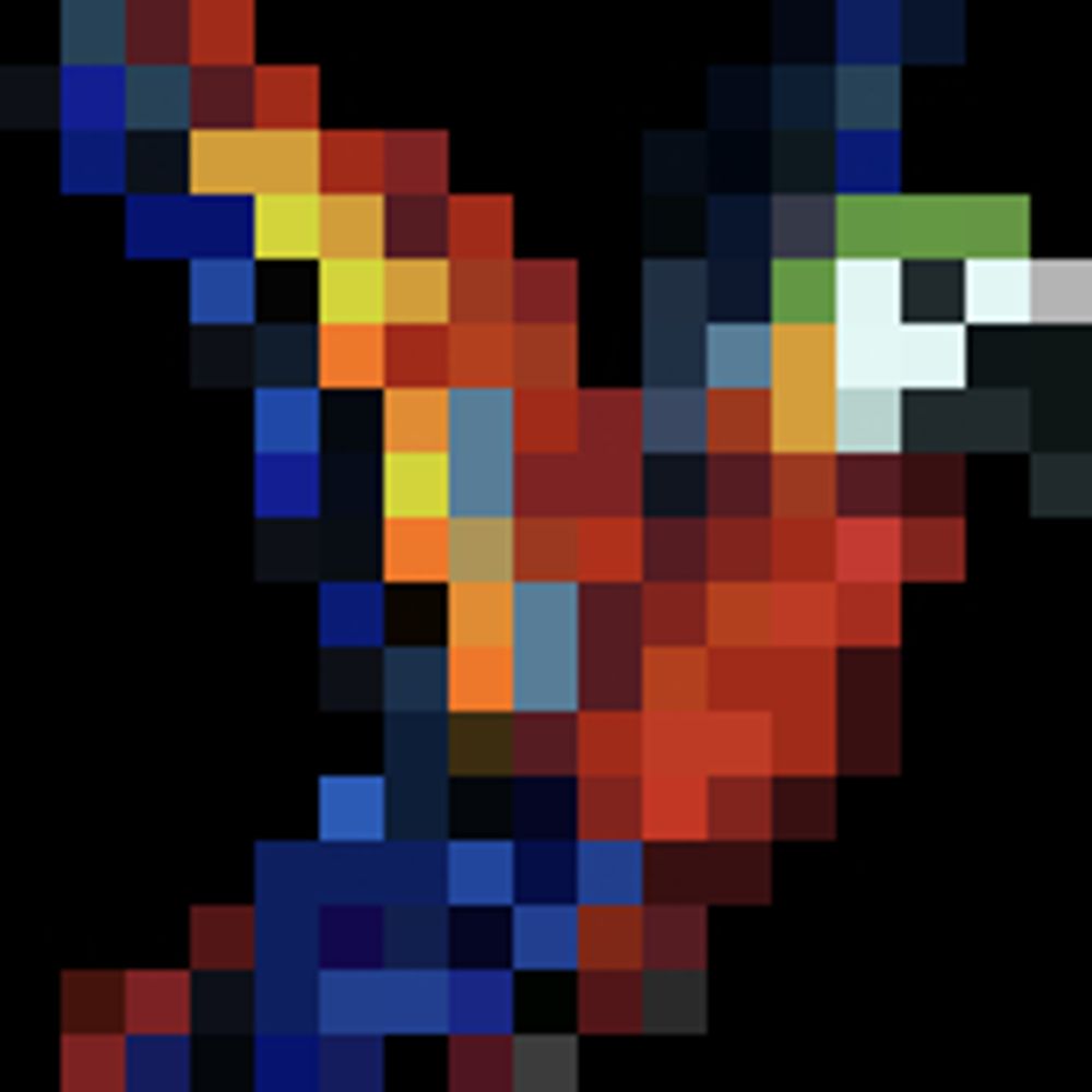 Poly the Parrot