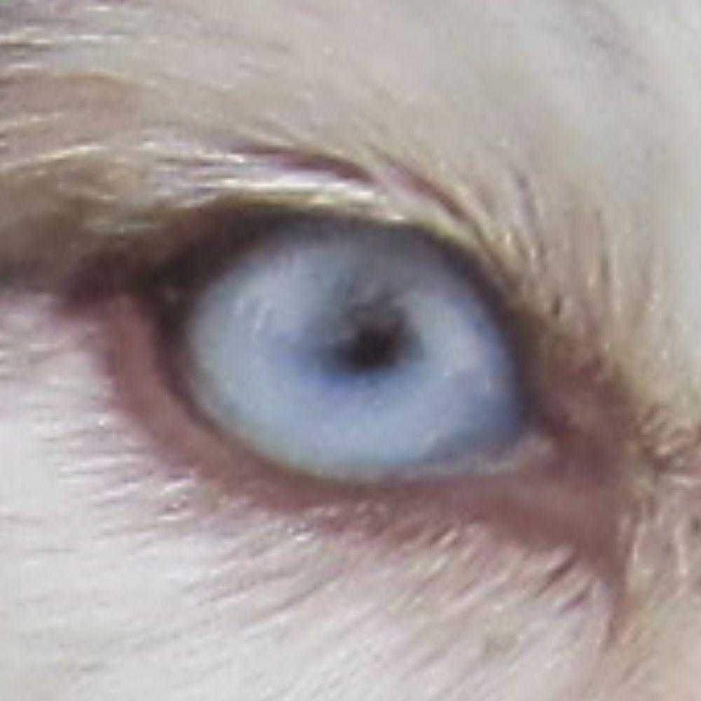 MW Hyde