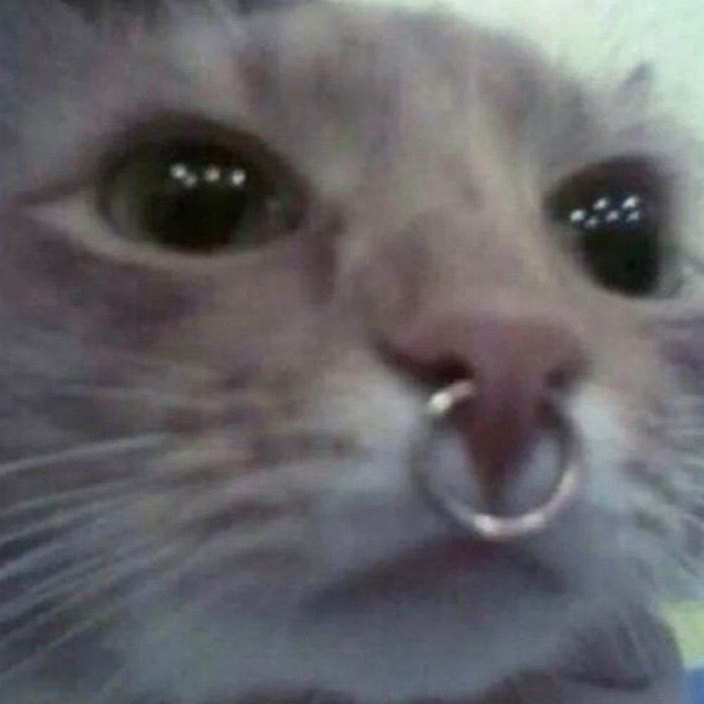 mimi