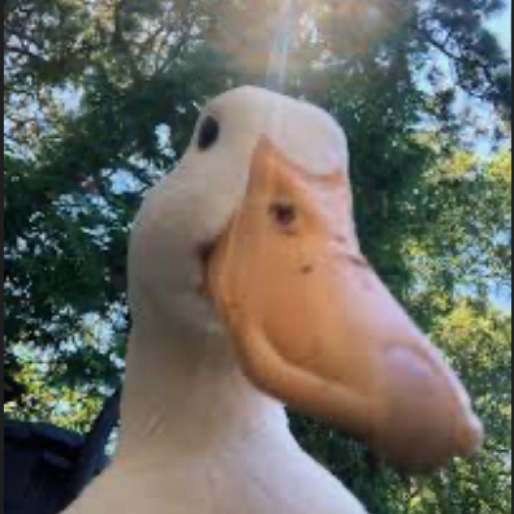 Quack