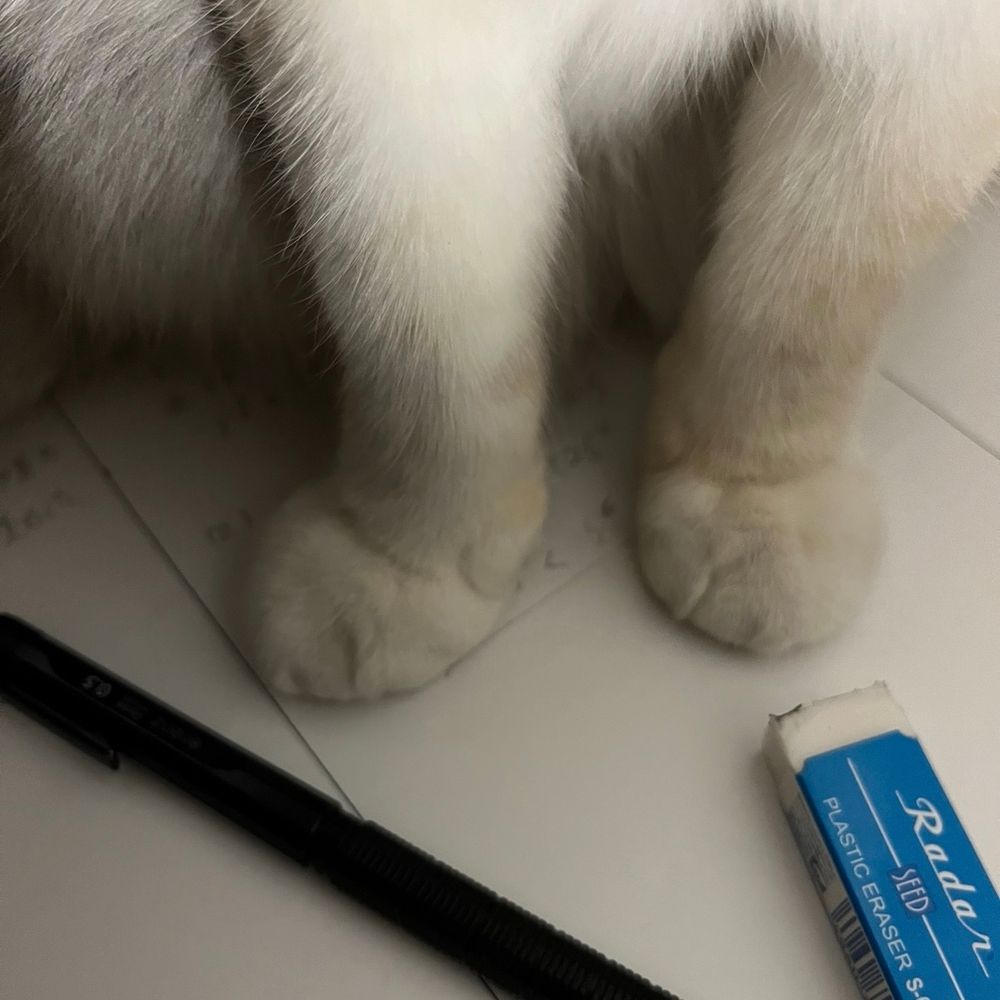 だだだ