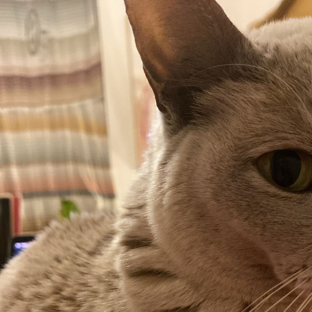 Sid