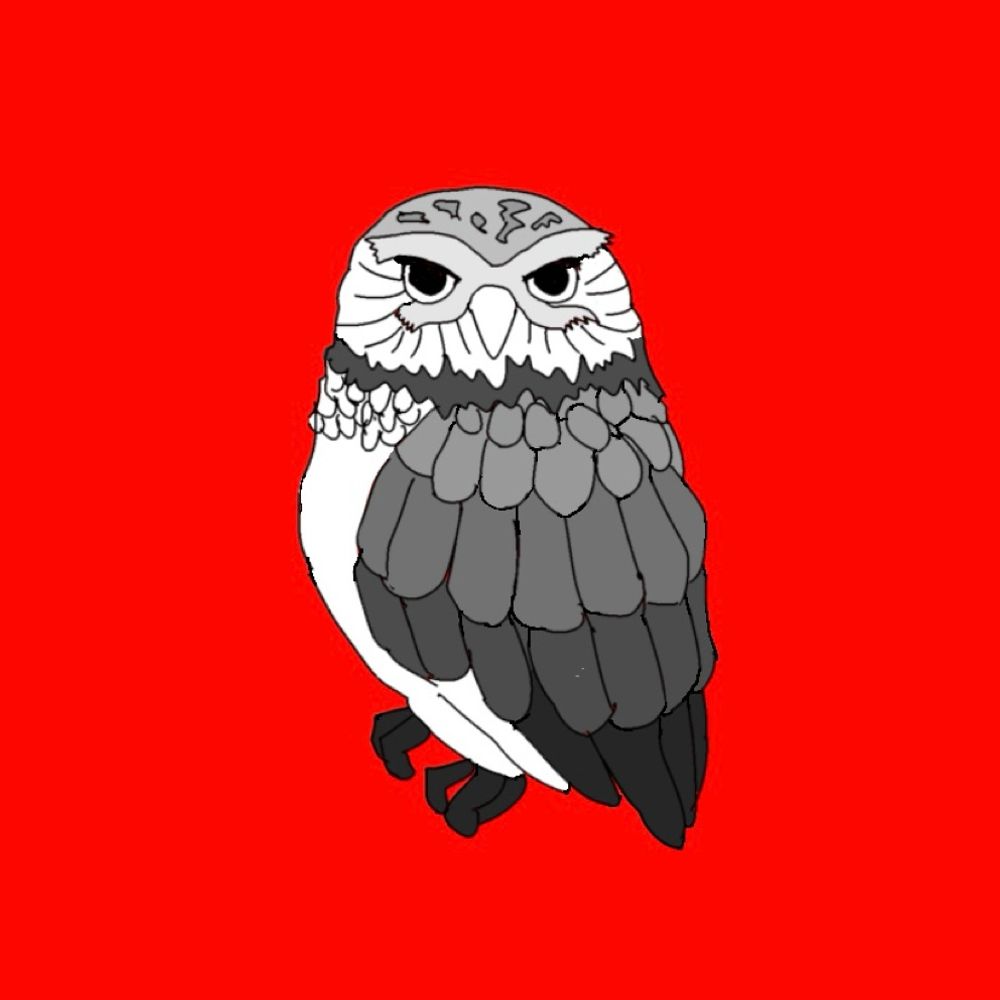 梟
