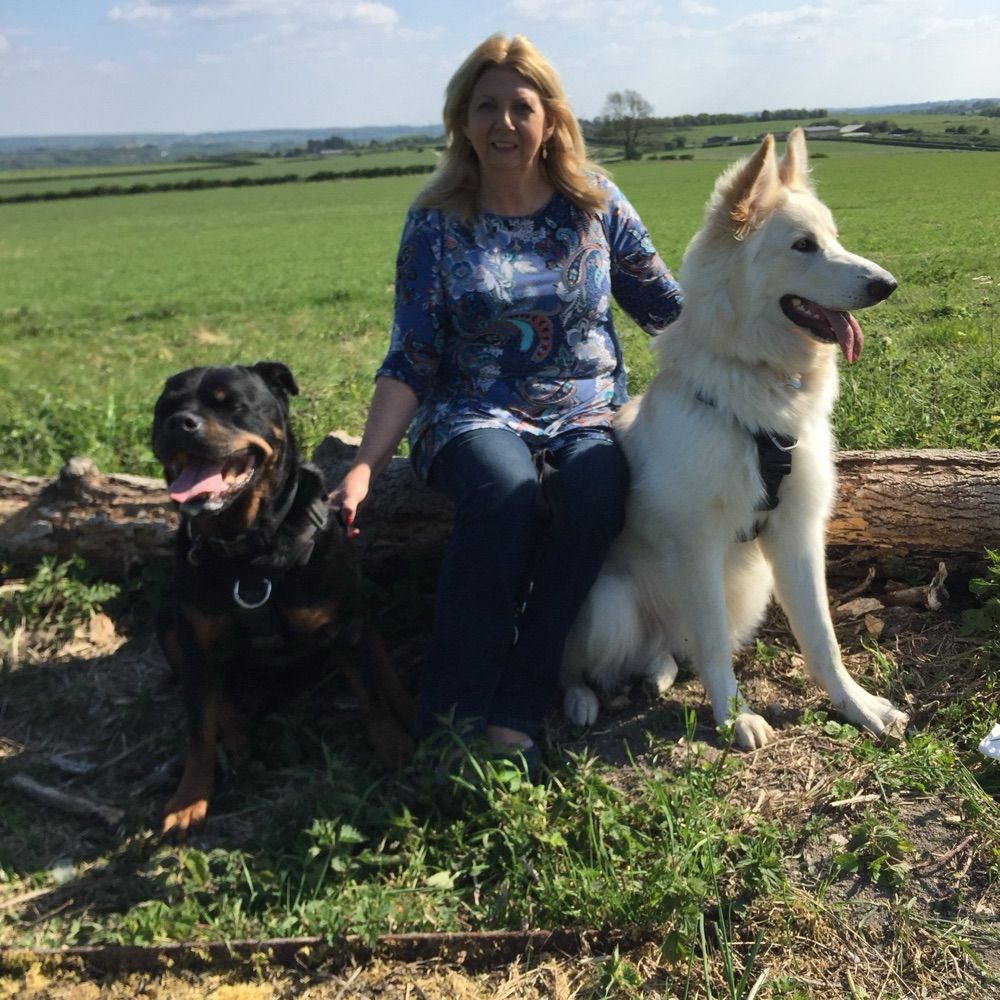 Dog Only Knows Behaviour & Training with June Pennell