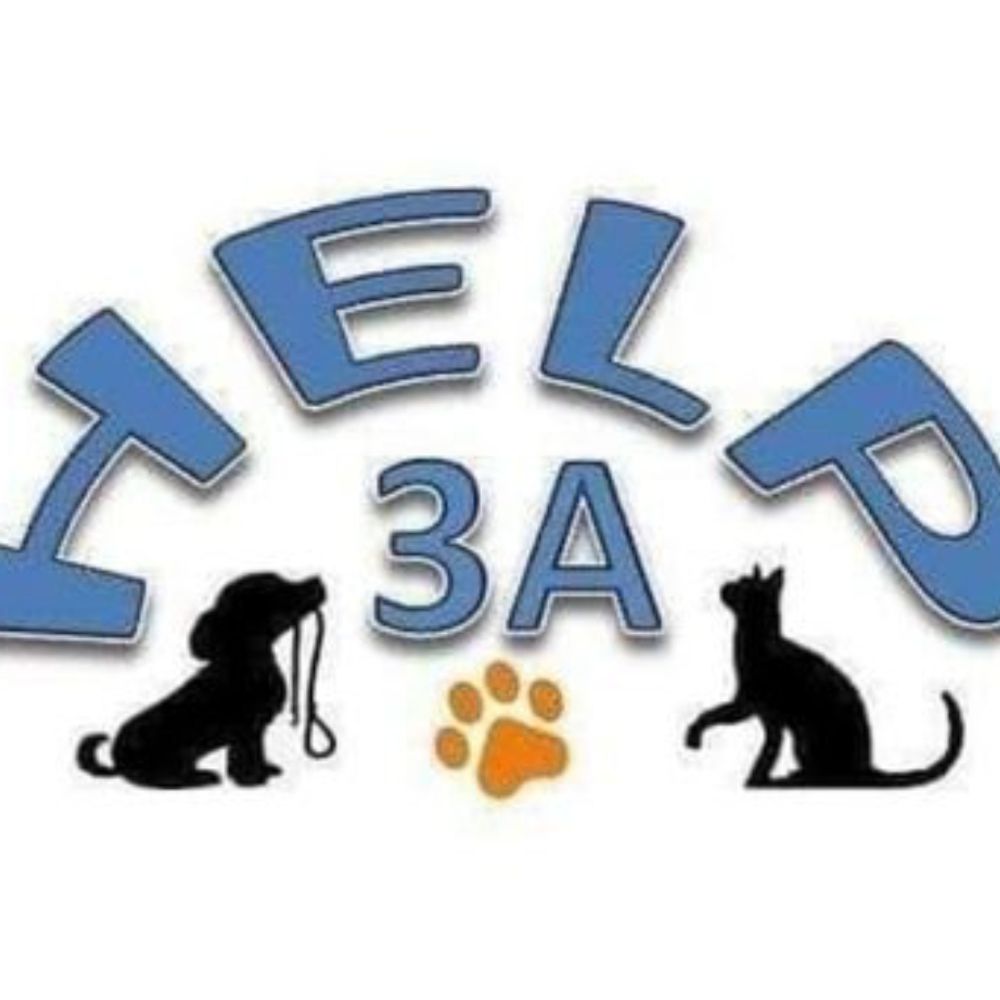Help 3A