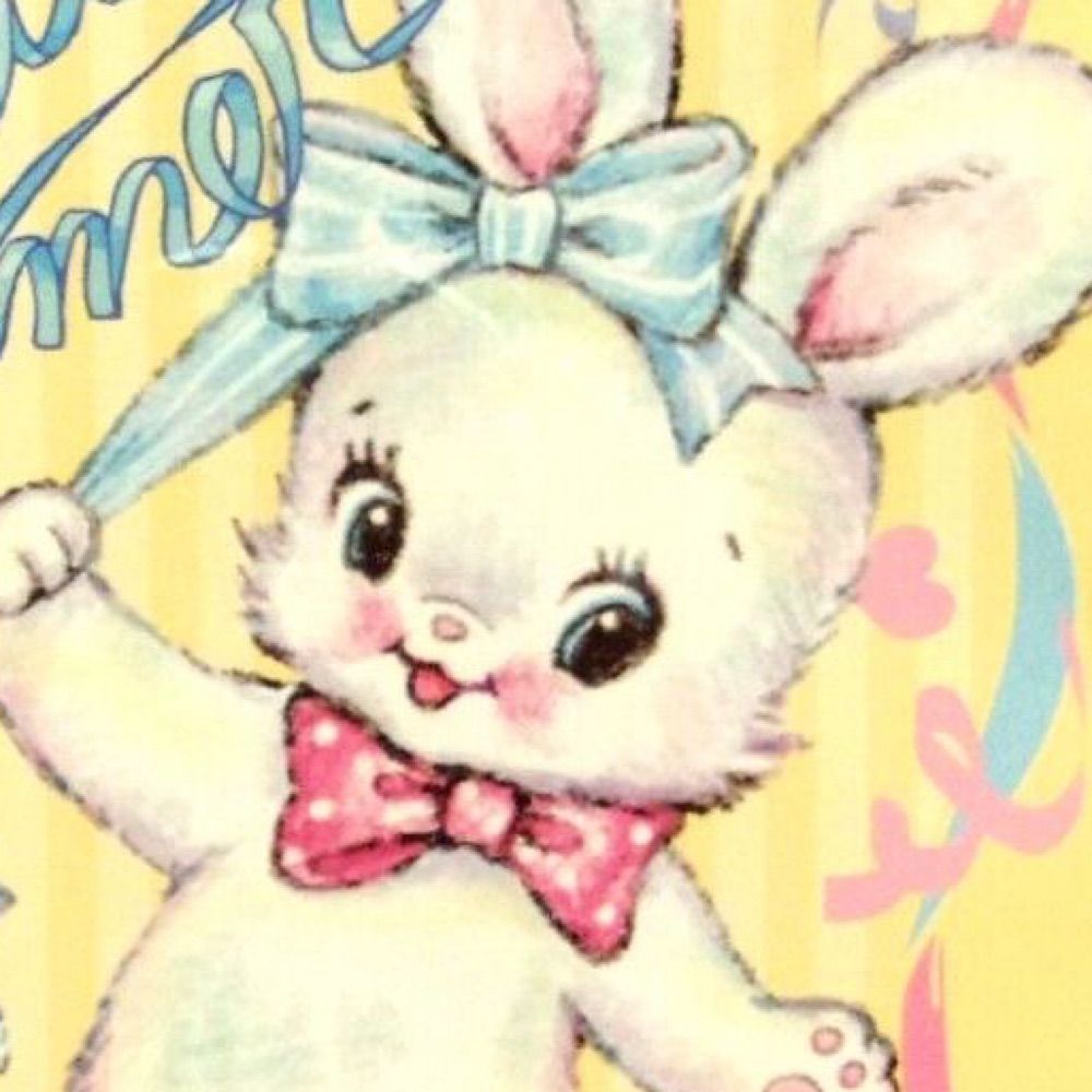 🌈🐇 cutie bunny babe 🔞