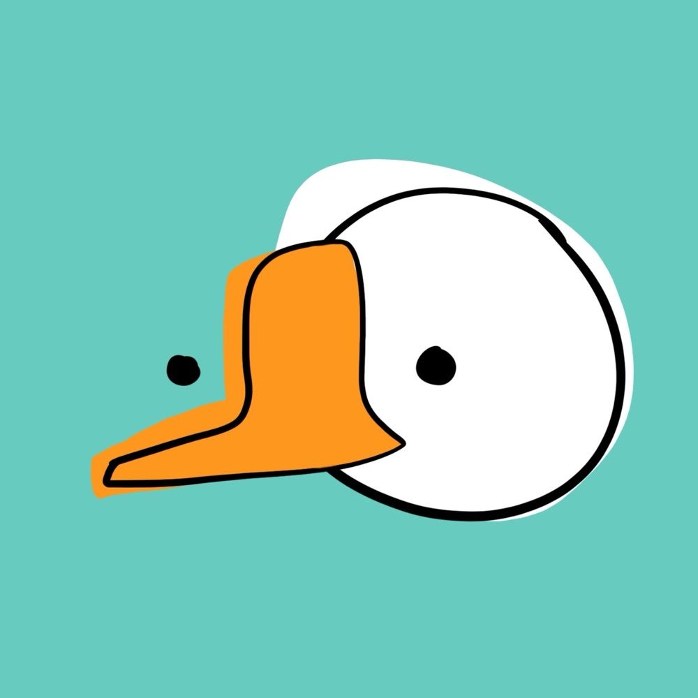 Not A Goose