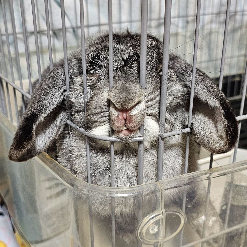 ゆかう