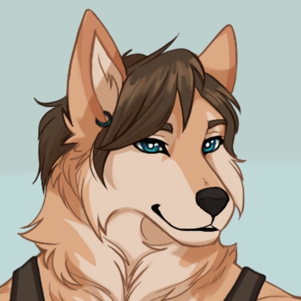 Matt The Legendary Shiba