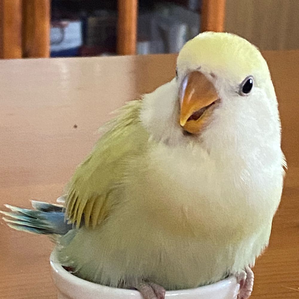 工藤あきら