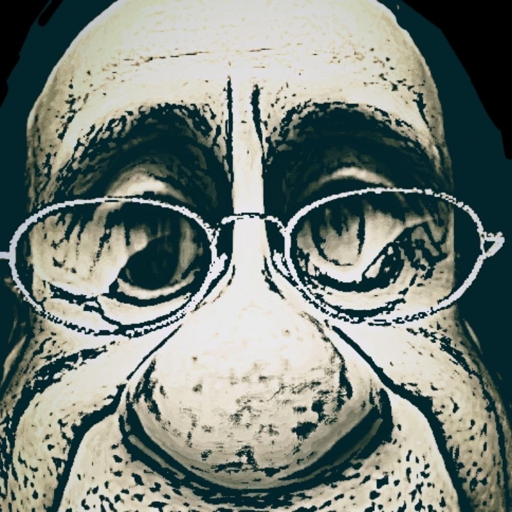 DarLeg