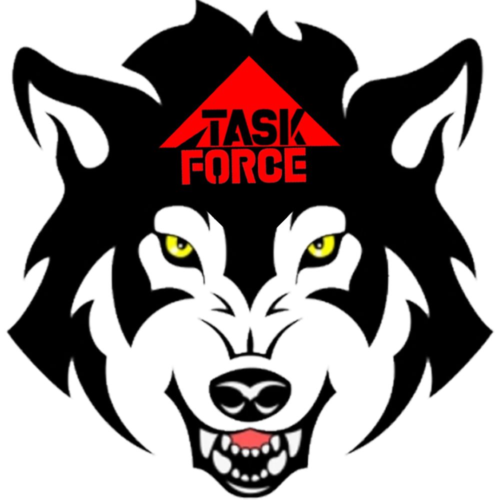 Task Force 