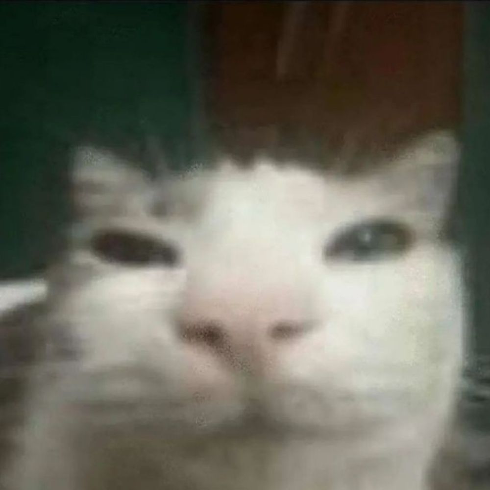 звездочёт