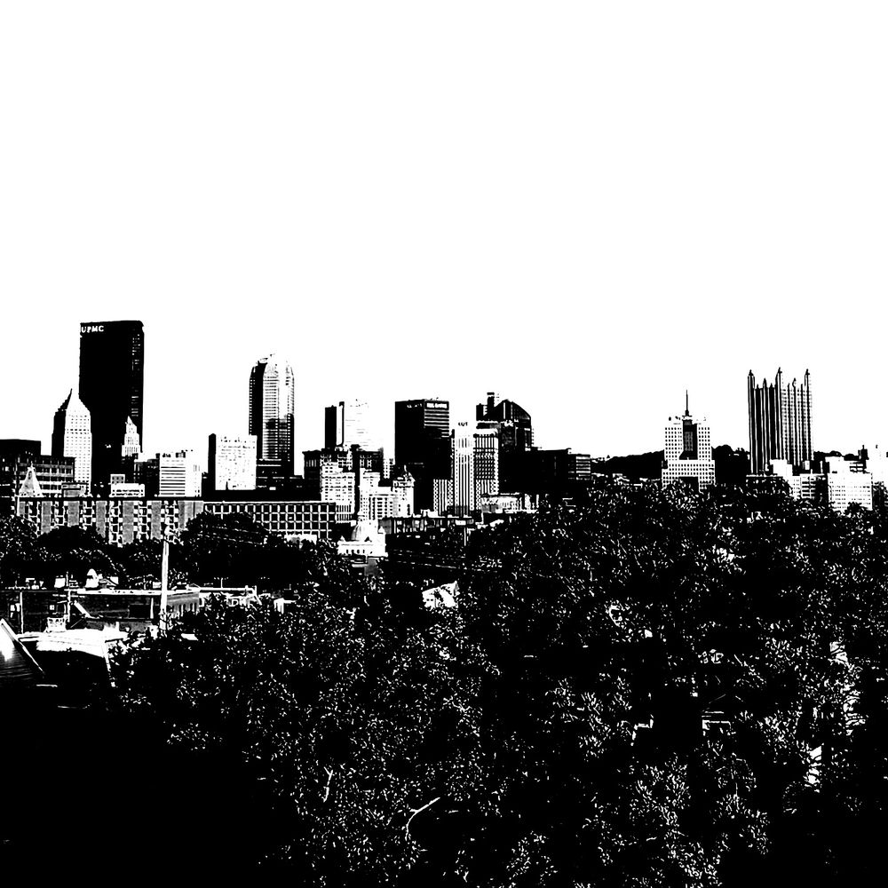 GenX Yinzer