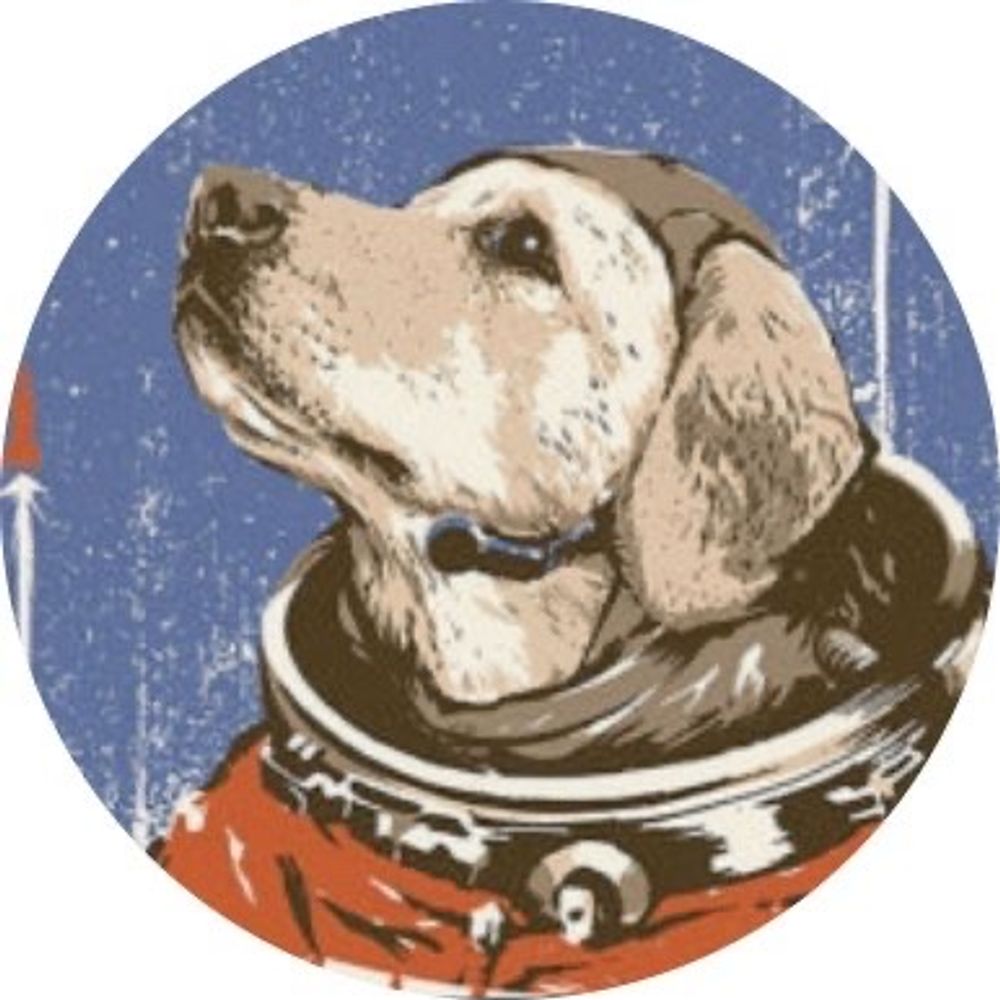 Space for Dogs's avatar