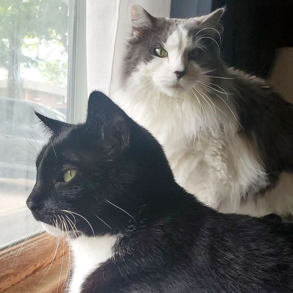 Timothy and Sebastian