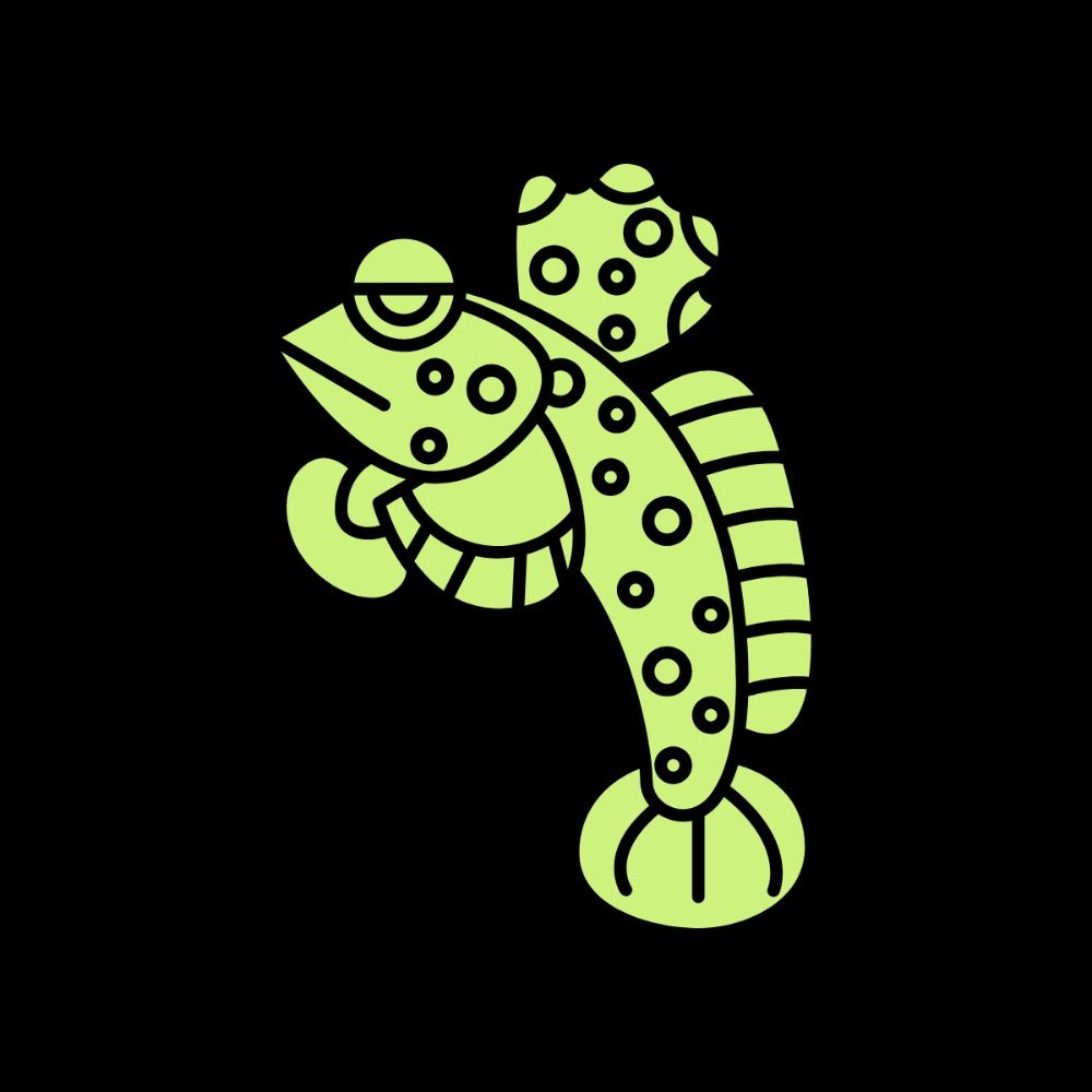 Conskipper
