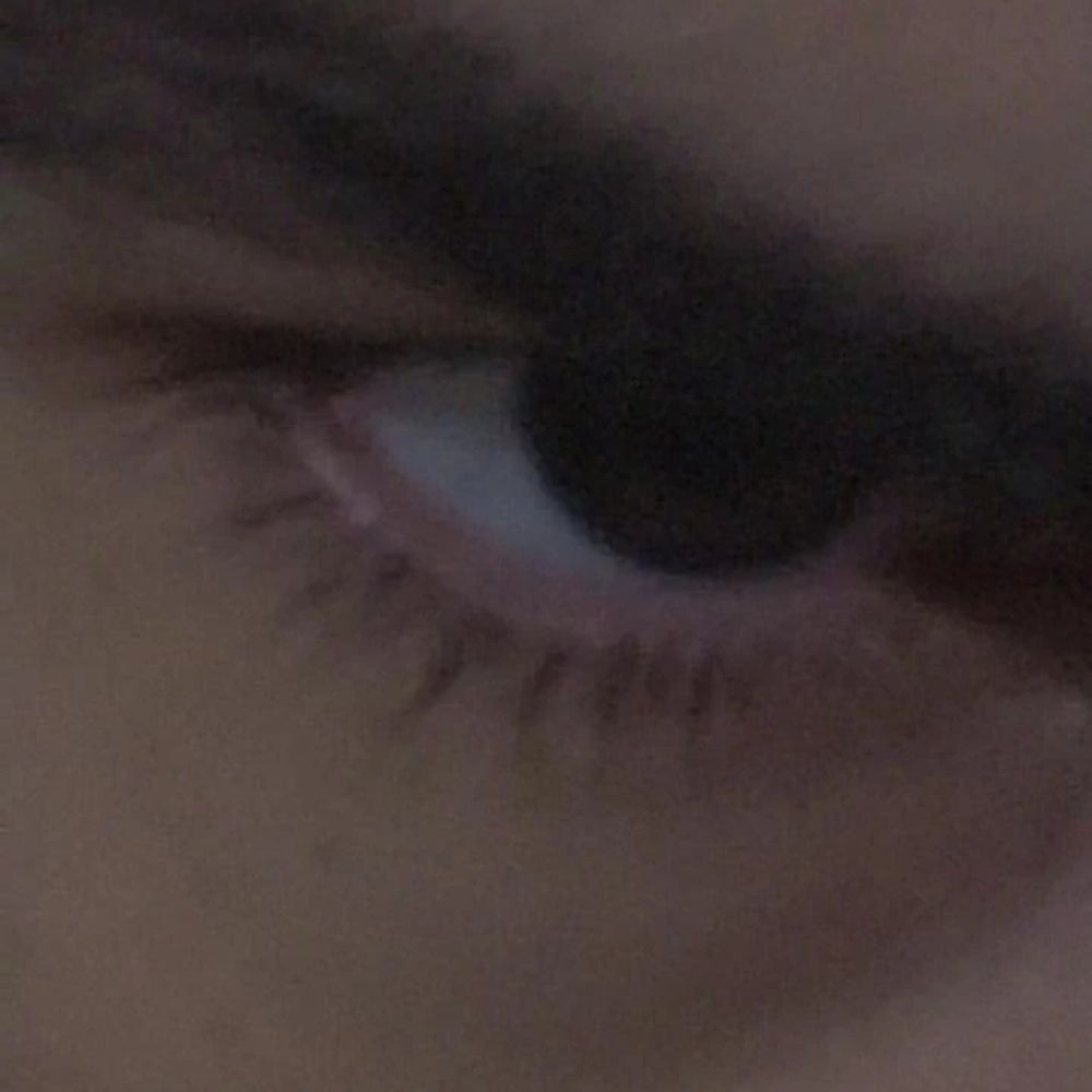 pedropedropedro