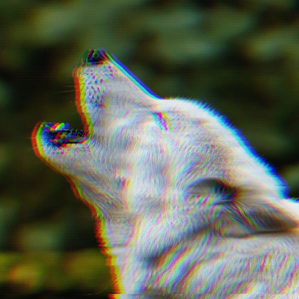 syntheticwolf