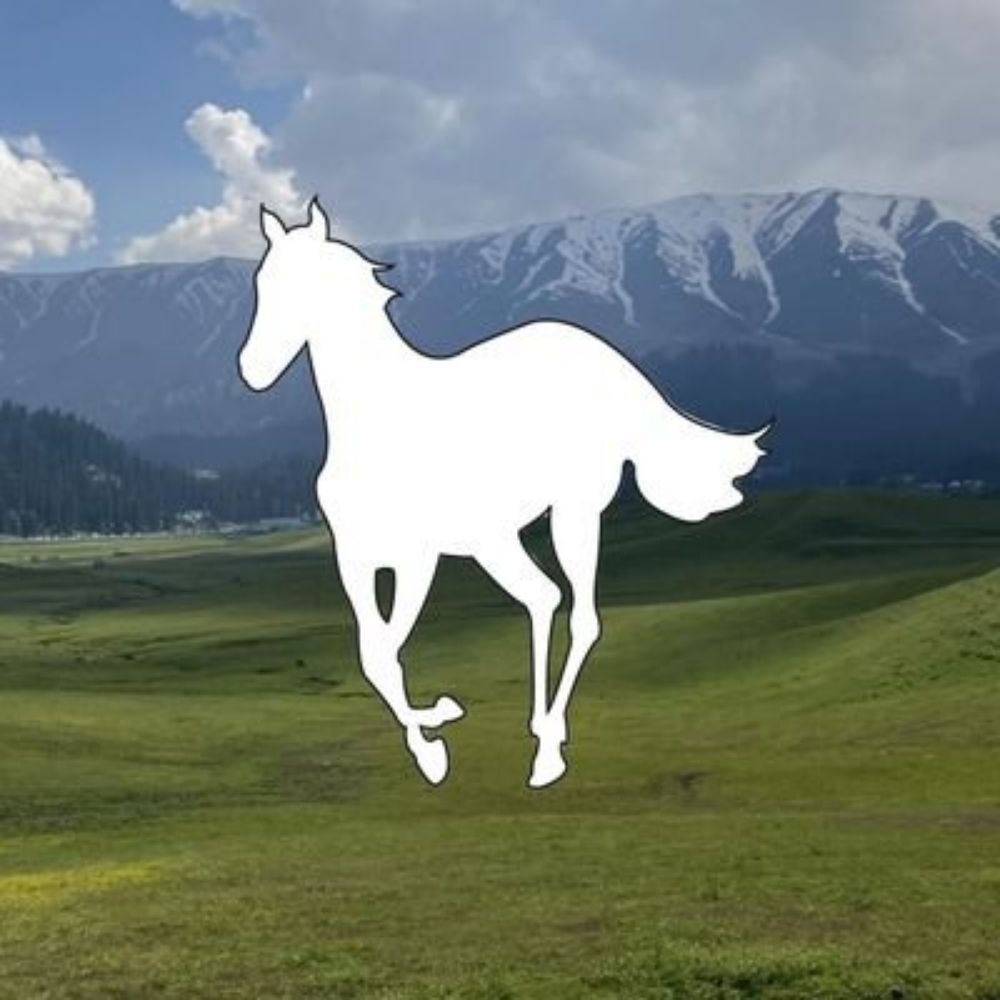 Forever Accelerate