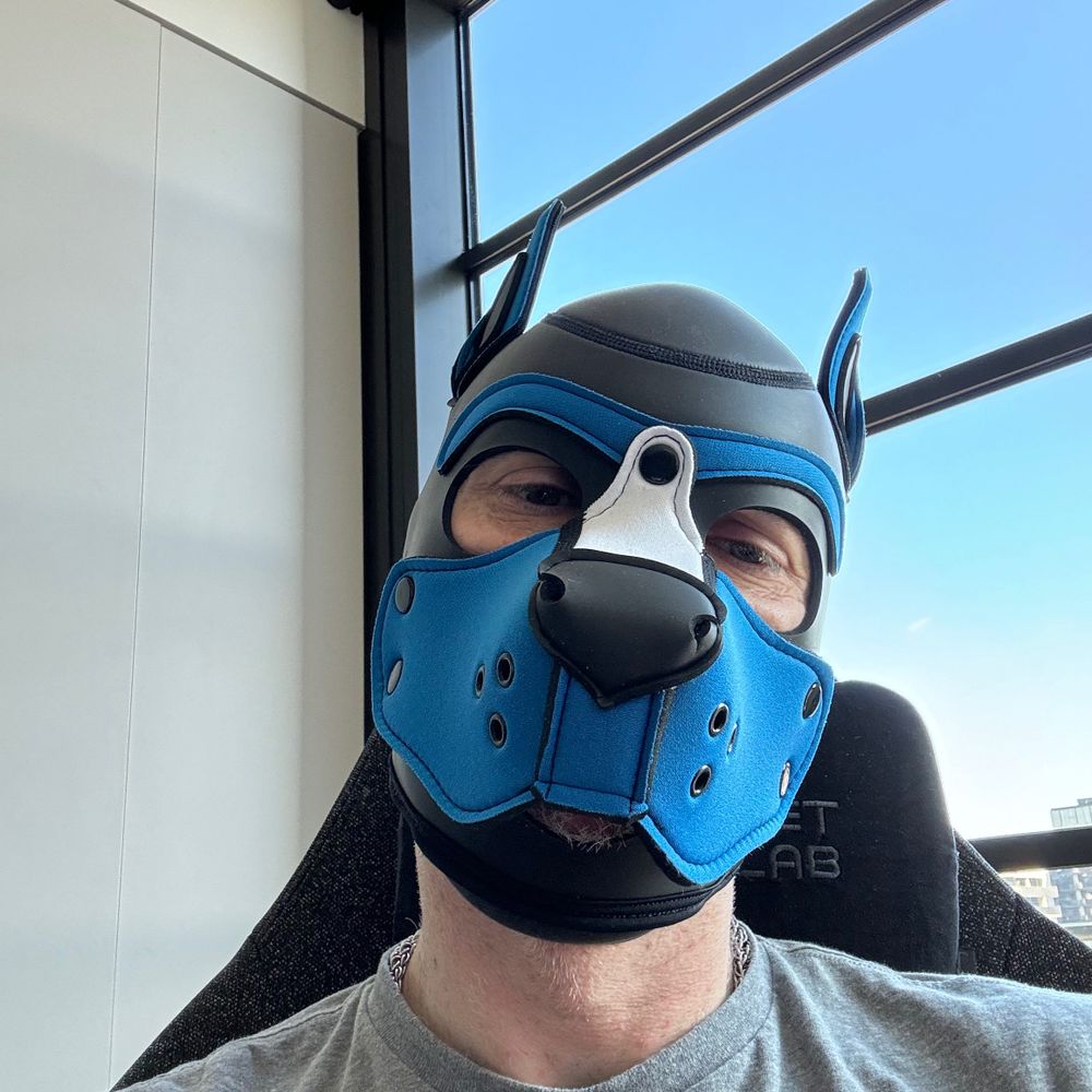 Rhino