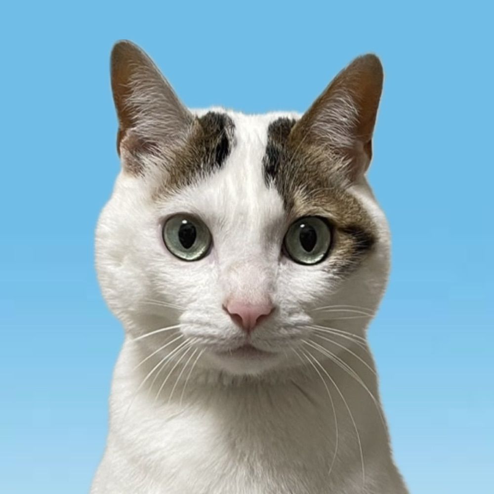 とうま