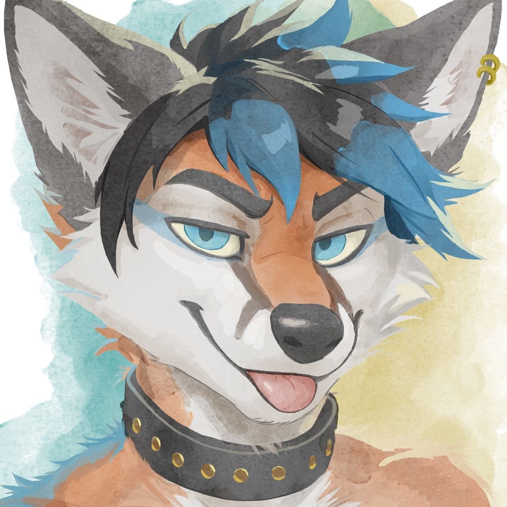 Ari 🦊