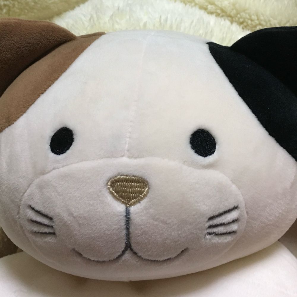 ちぃ
