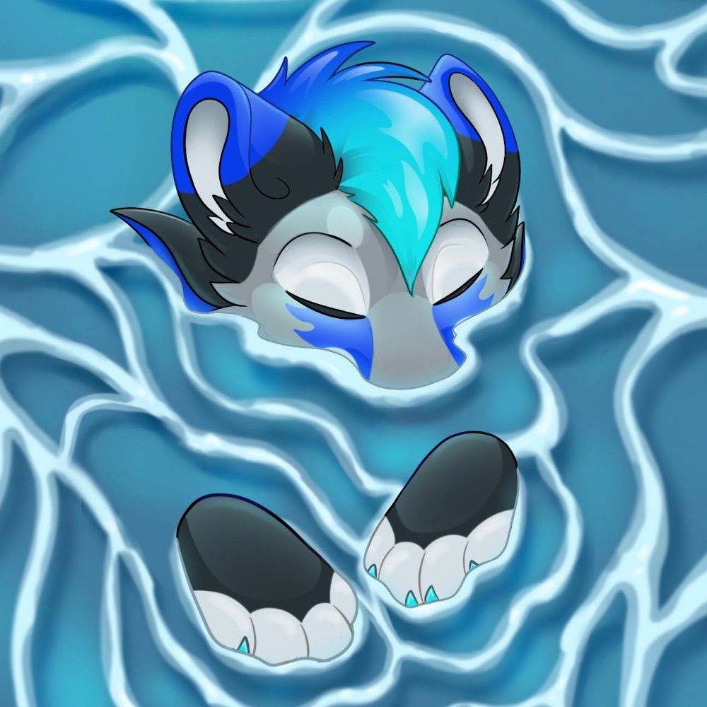 Nalu Catfeesh
