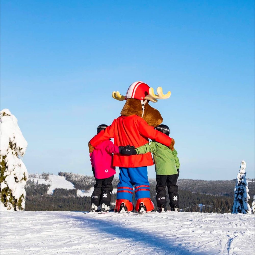 Säfsen Resort