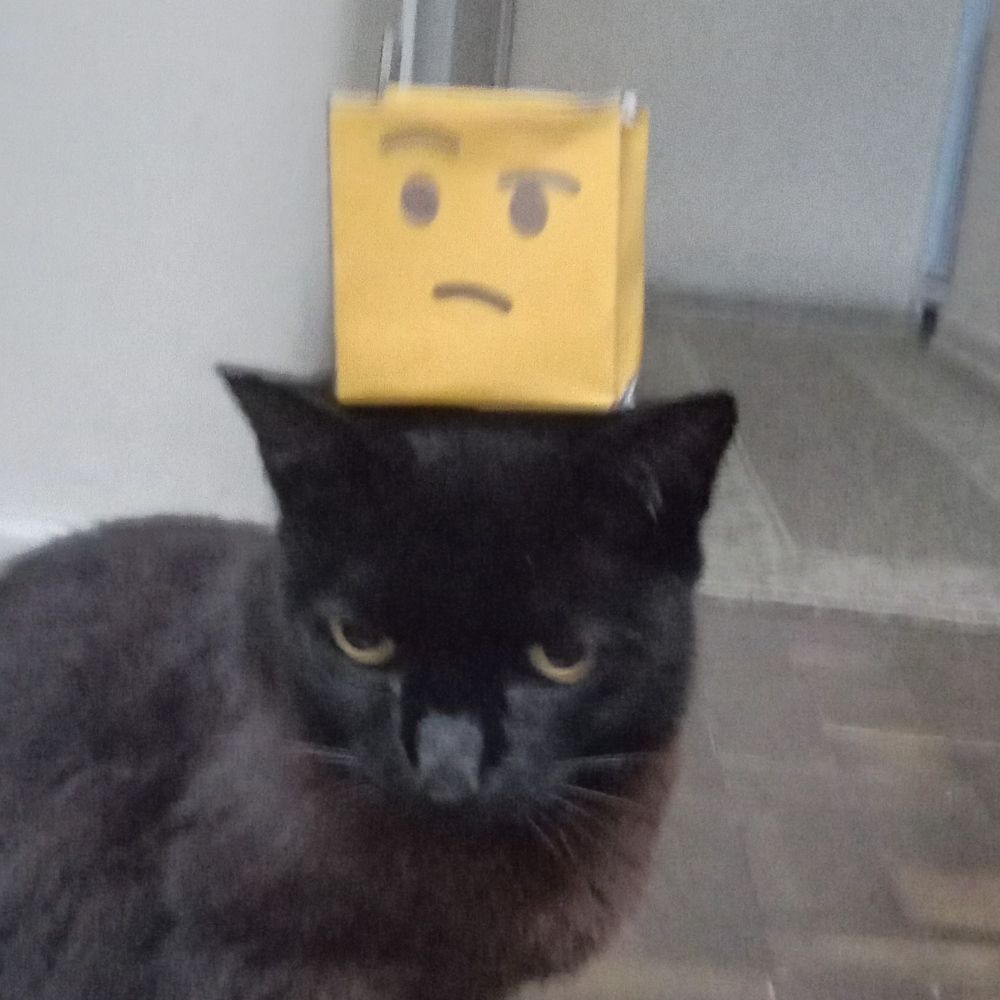 Niko