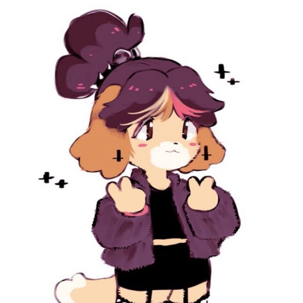 Callie the dog