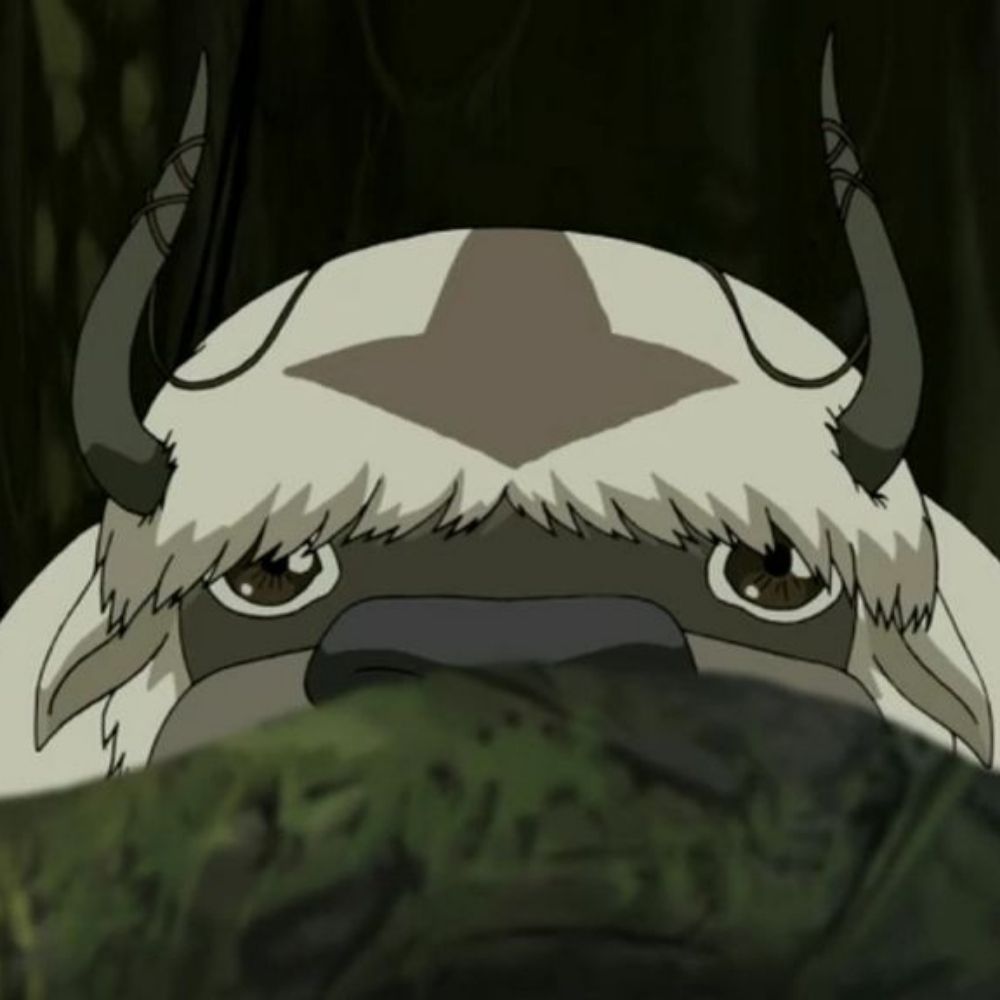 Chad Appa