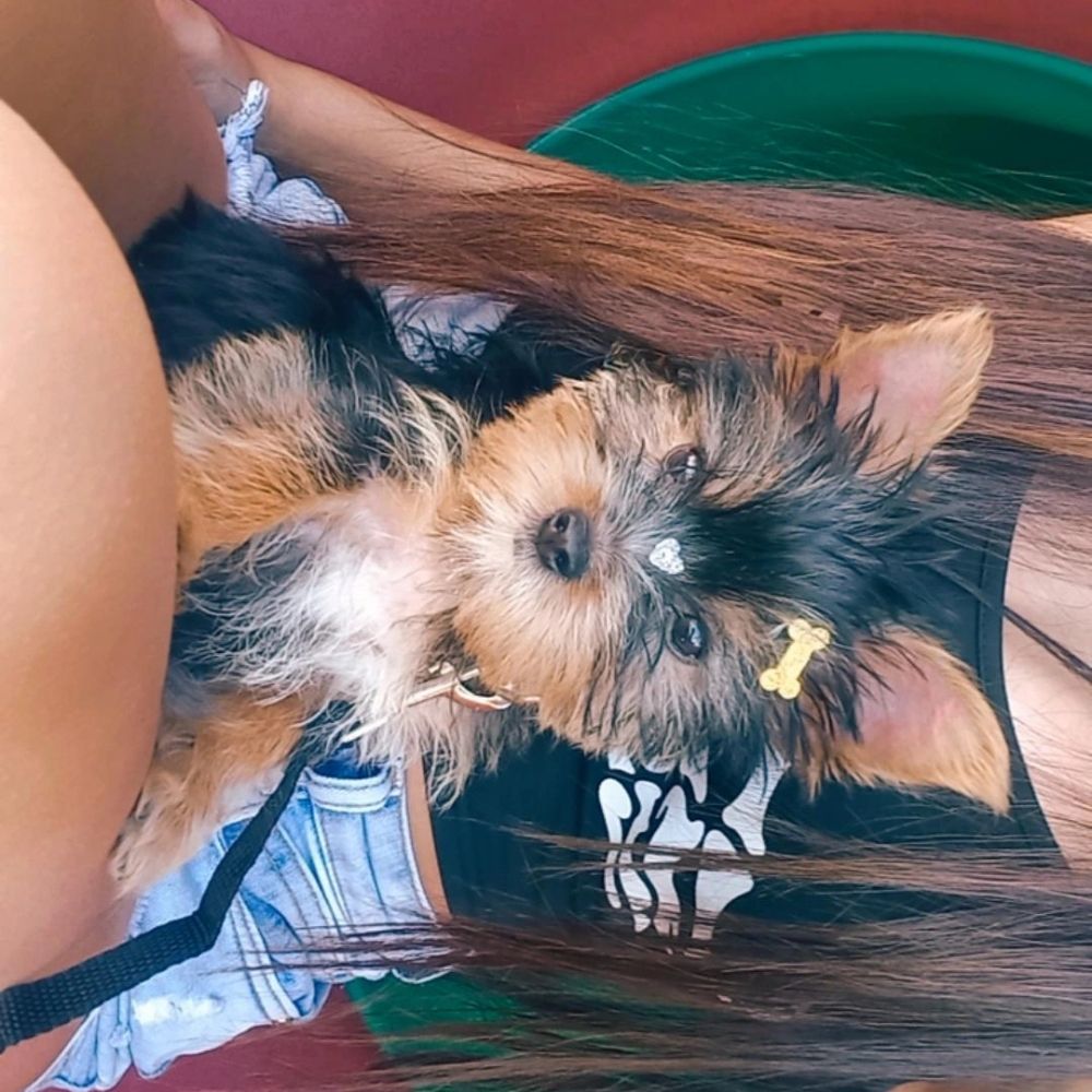 juju🎀