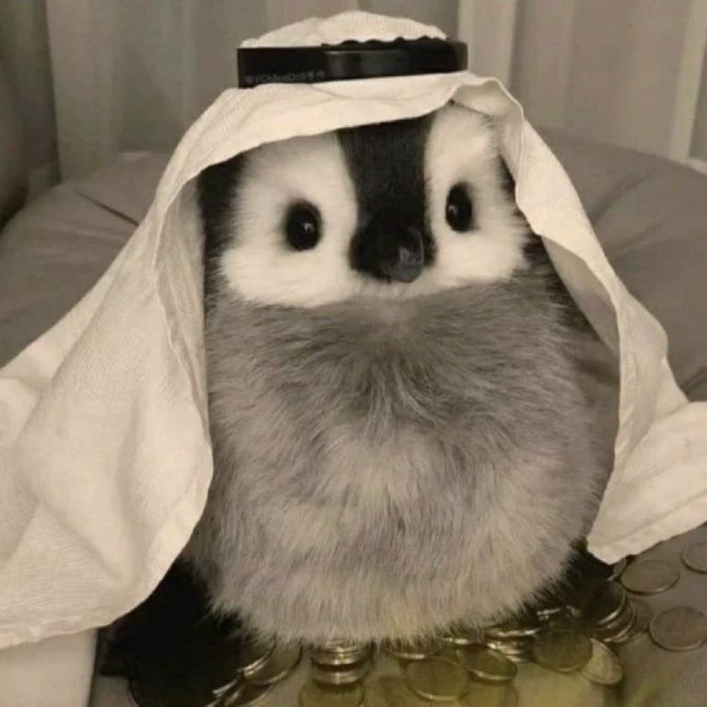 Bahuwu