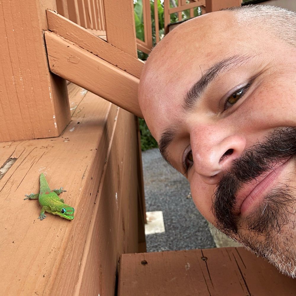 geckgoals