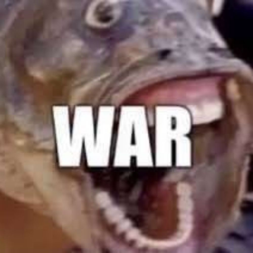 Gator