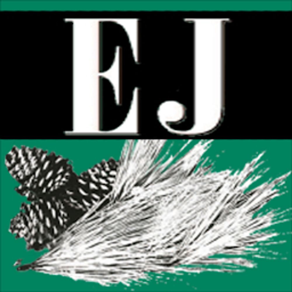 The Enterprise-Journal
