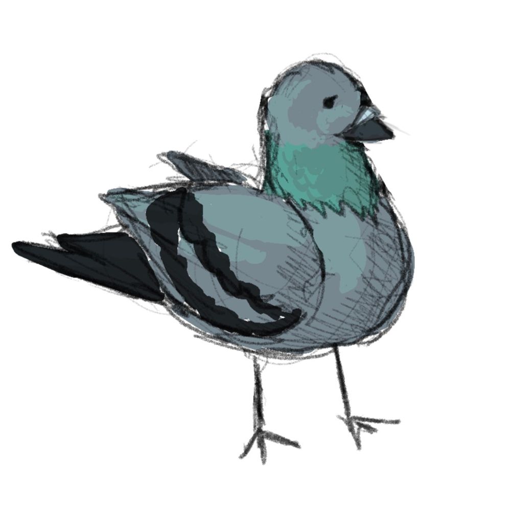 Bwoo