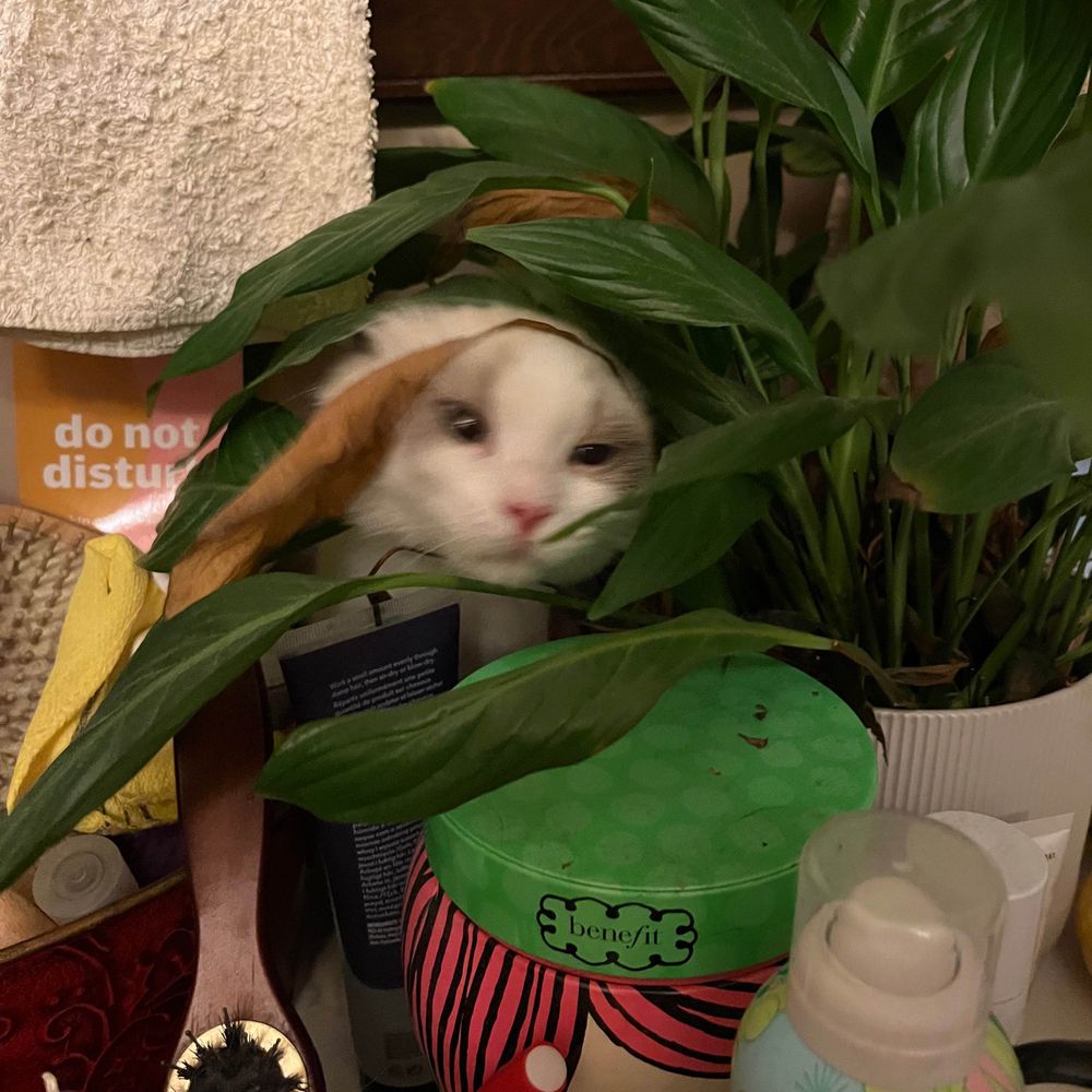 Karen