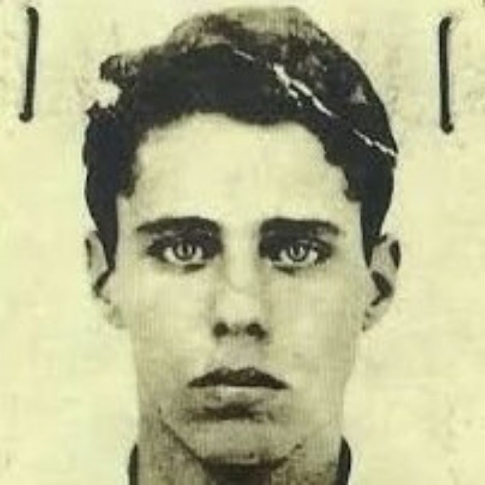 vini